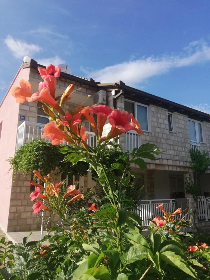 Apartmani Danica Orebić Zewnętrze zdjęcie